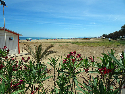 Strand in den italienischen Marken