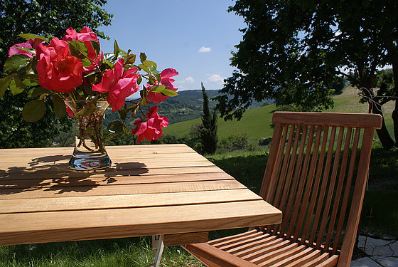 Garten mit Tisch mit Rosen
