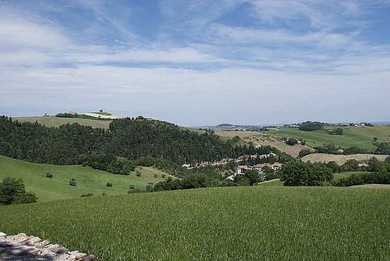 Landschaft in den Marken